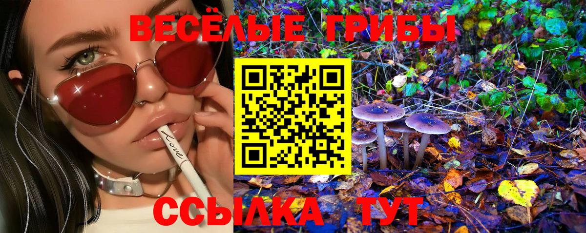 Псилоцибиновые грибы Psilocybine cubensis  Галлюциногенные грибы Magic Shrooms  Вход с VPN  Михайловск 