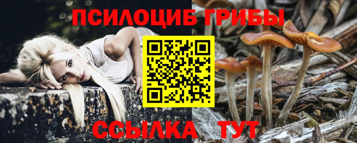 Псилоцибиновые грибы GOLDEN TEACHER Михайловск
